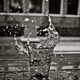 Image for article titled Shooting Challenge: 1/1000 Gallery